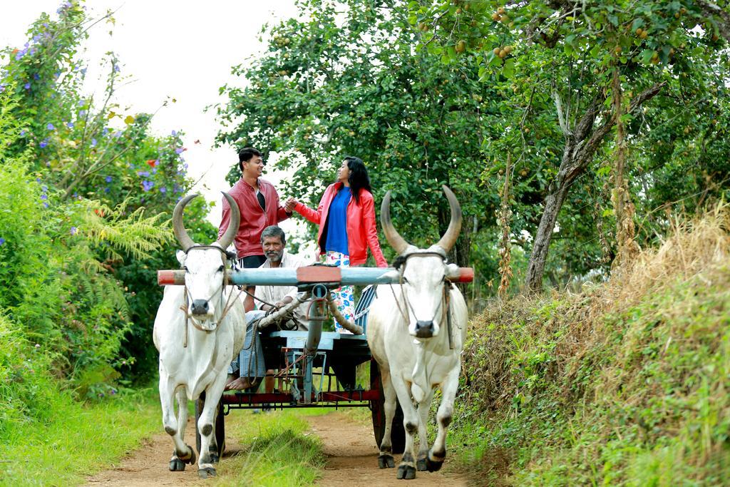 The Pear County Villa Kodaikanal Eksteriør billede
