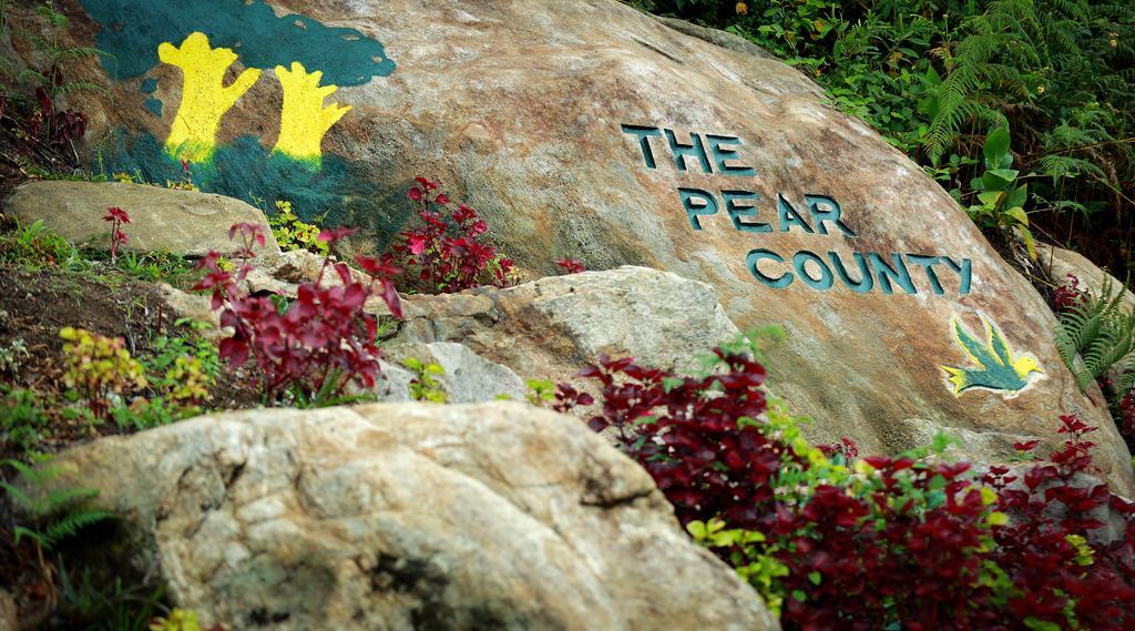 The Pear County Villa Kodaikanal Eksteriør billede