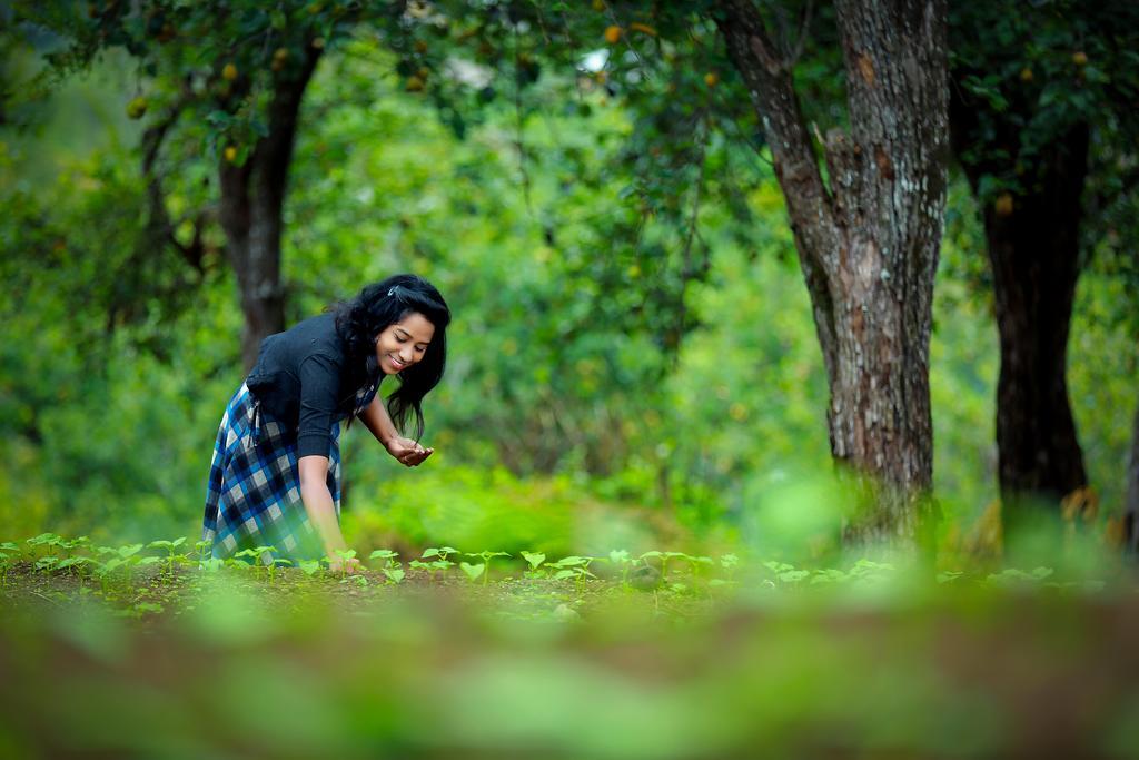 The Pear County Villa Kodaikanal Eksteriør billede